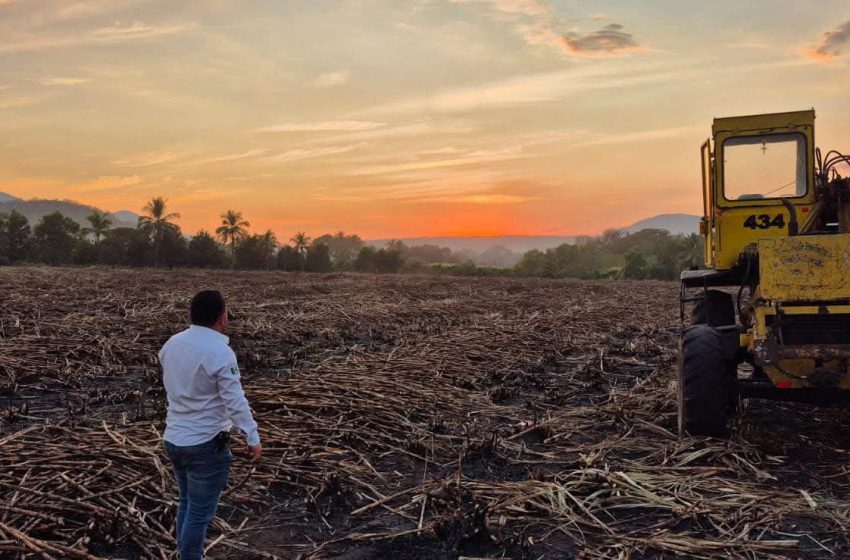 Histórica inversión de 353 millones de pesos para transformar el sector cañero en Michoacán