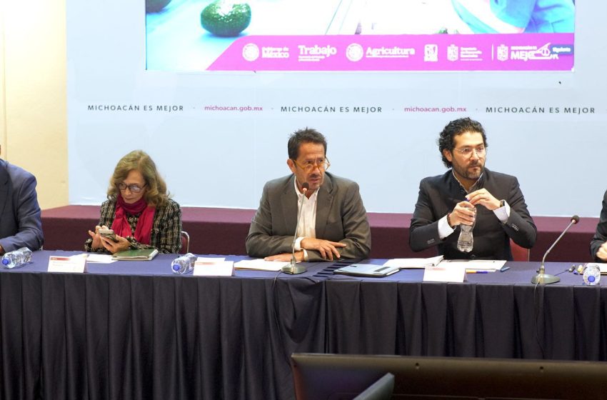  Certificado Laboral Agrícola garantizará salud y seguridad social en zonas aguacateras: SEDECO