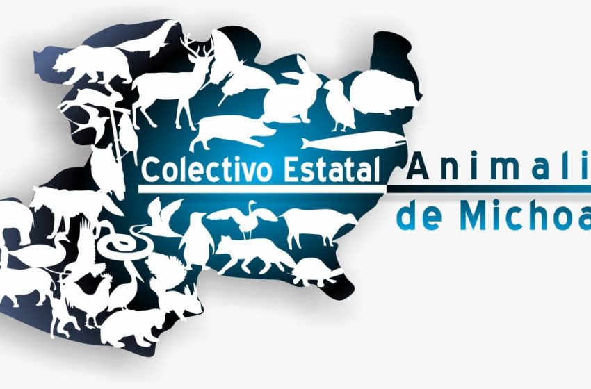  Apatzingán y Nueva Italia registran nuevo envenenamiento; colectivos demandan justicia y cárcel para agresores