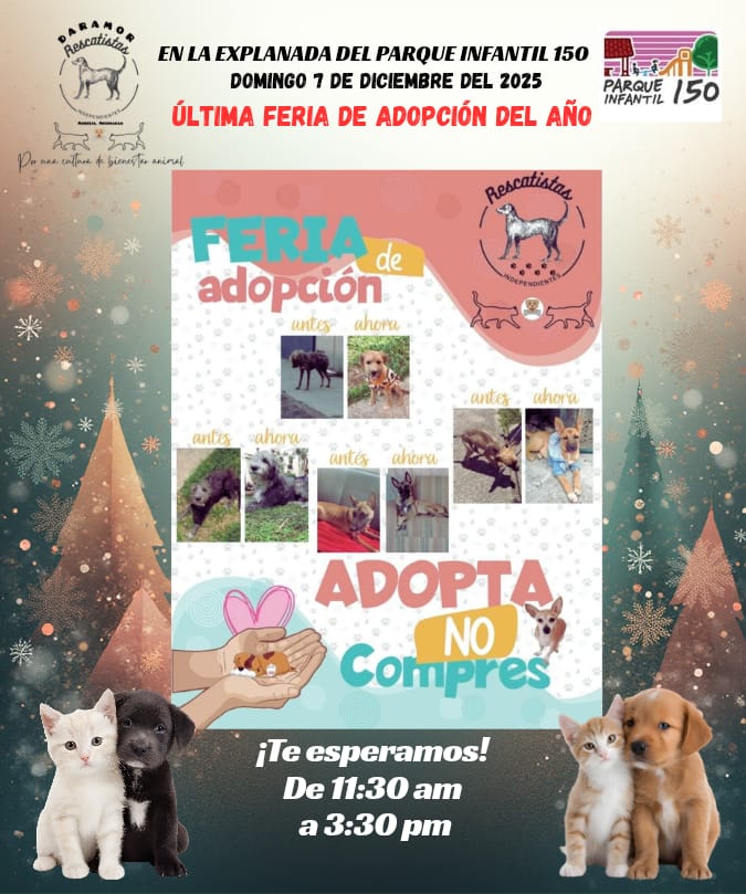 MascosDARAMOR10