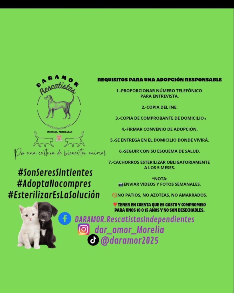 MascosDARAMOR11