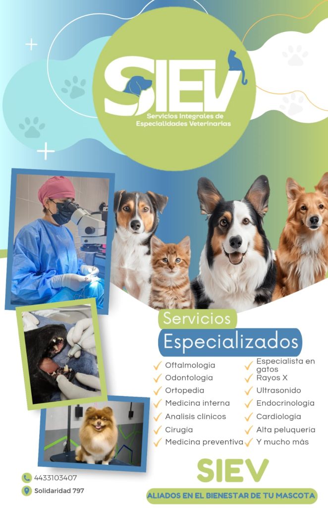 MascosDARAMOR12