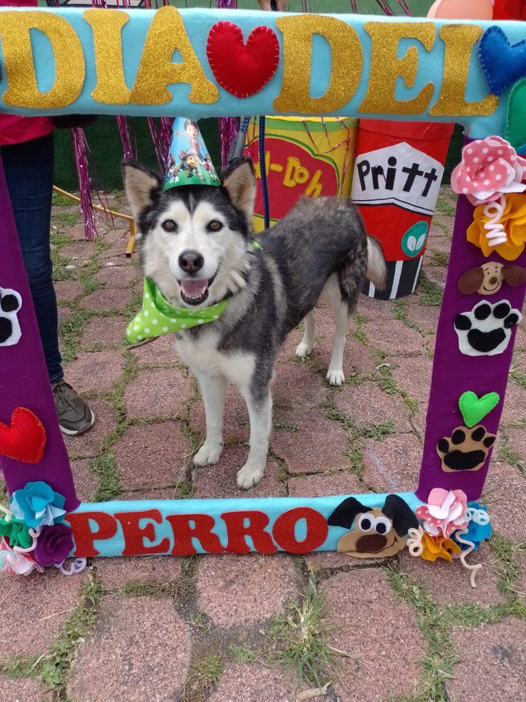 MascosDARAMOR5