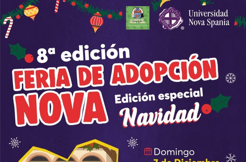 MascosFeria7Dic1