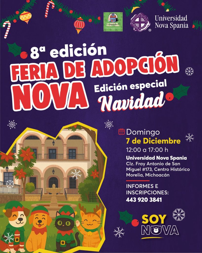 MascosFeria7Dic11