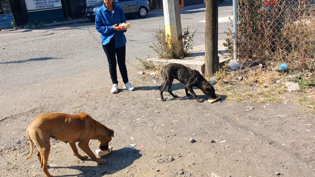 MascosPancitas1