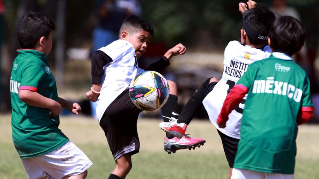 NinezFut