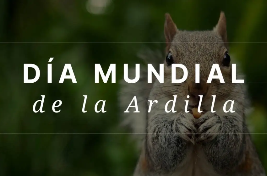 DiaArdilla