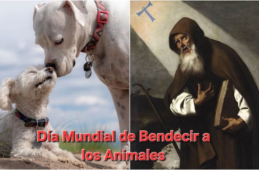 DiaBendiBendis