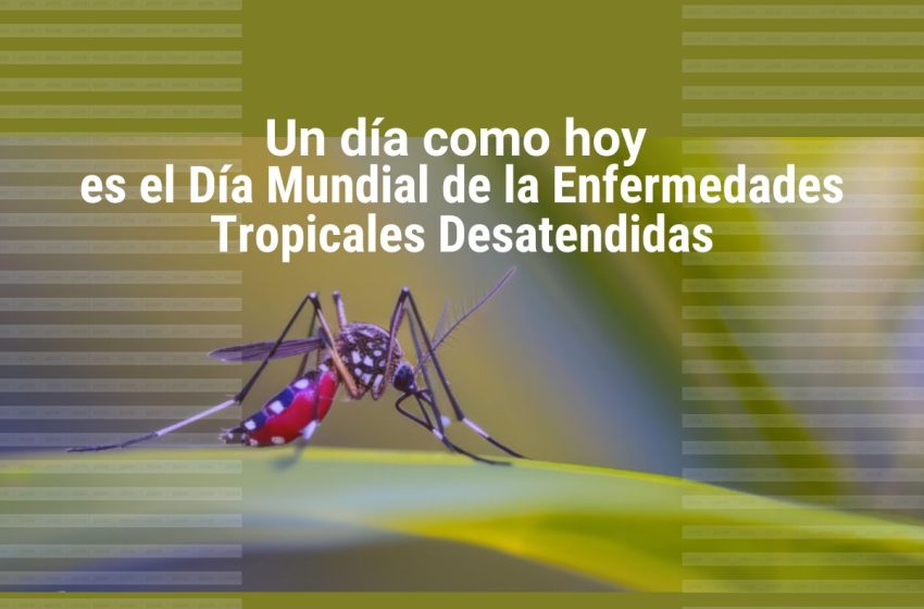 DiaEnfTropDesat