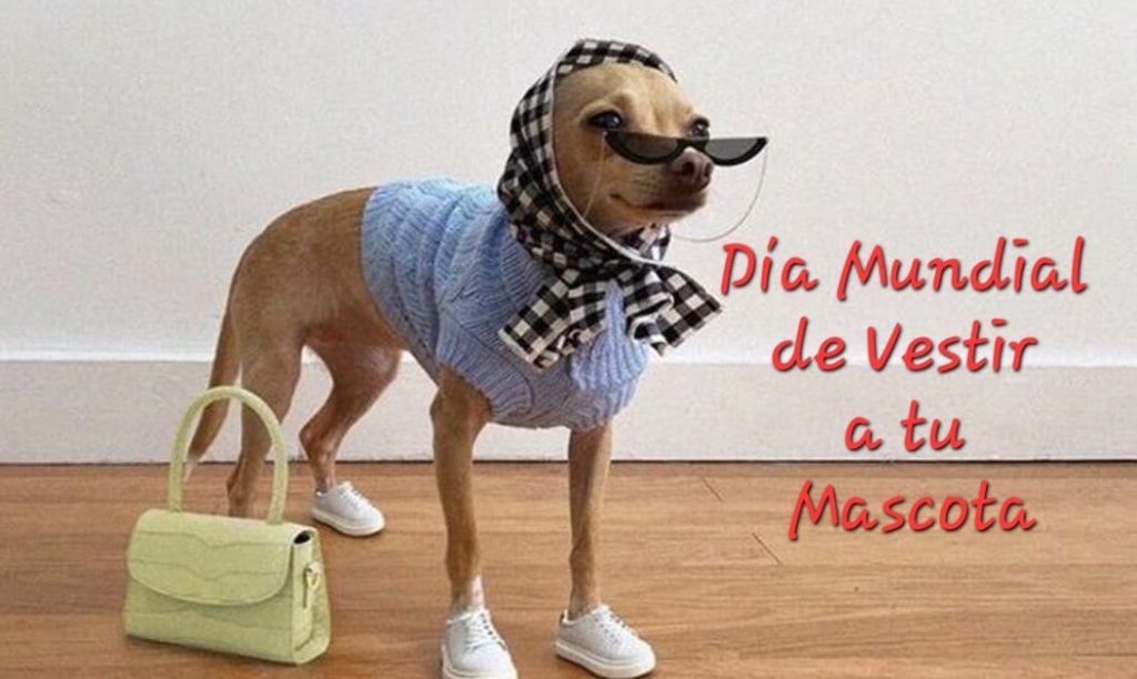 DiaVestirMascota