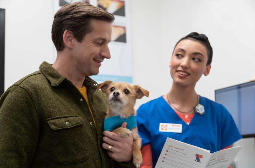  Diagnóstico veterinario: Resultado de los avances en la medicina basada en evidencia