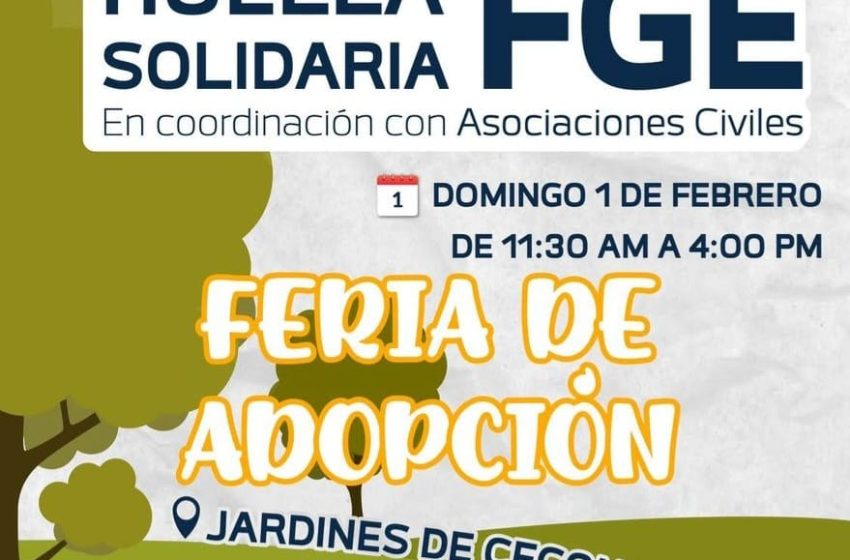 Invita FGE a la Feria de Adopción “Huella Solidaria” en coordinación con Asociaciones Civiles