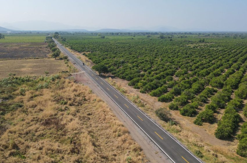 Aumentó 243 % inversión per cápita en obra pública: Rogelio Zarazúa