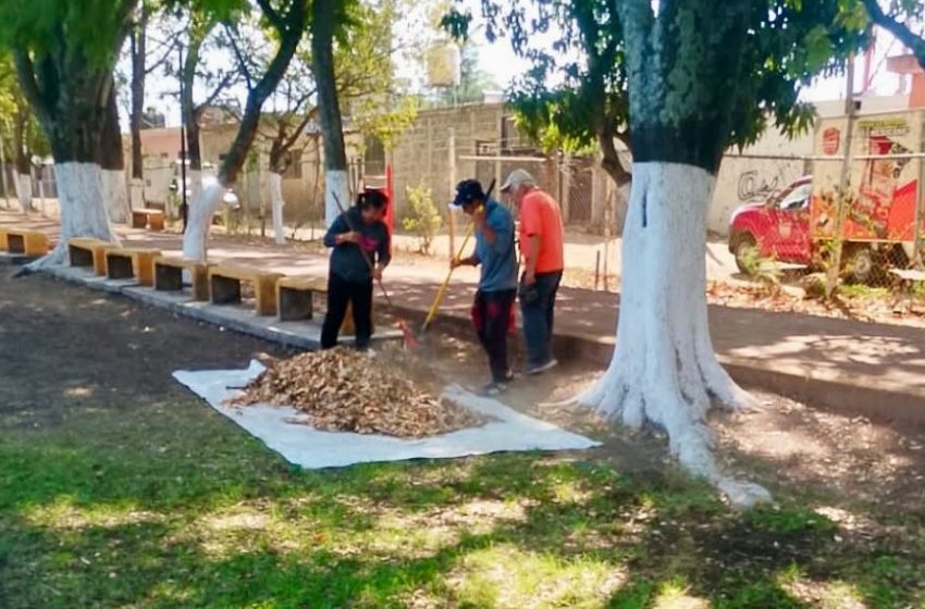  Gobierno de Los Reyes refuerza acciones sociales, de salud y bienestar comunitario