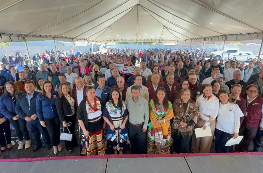 IMSS Comites1
