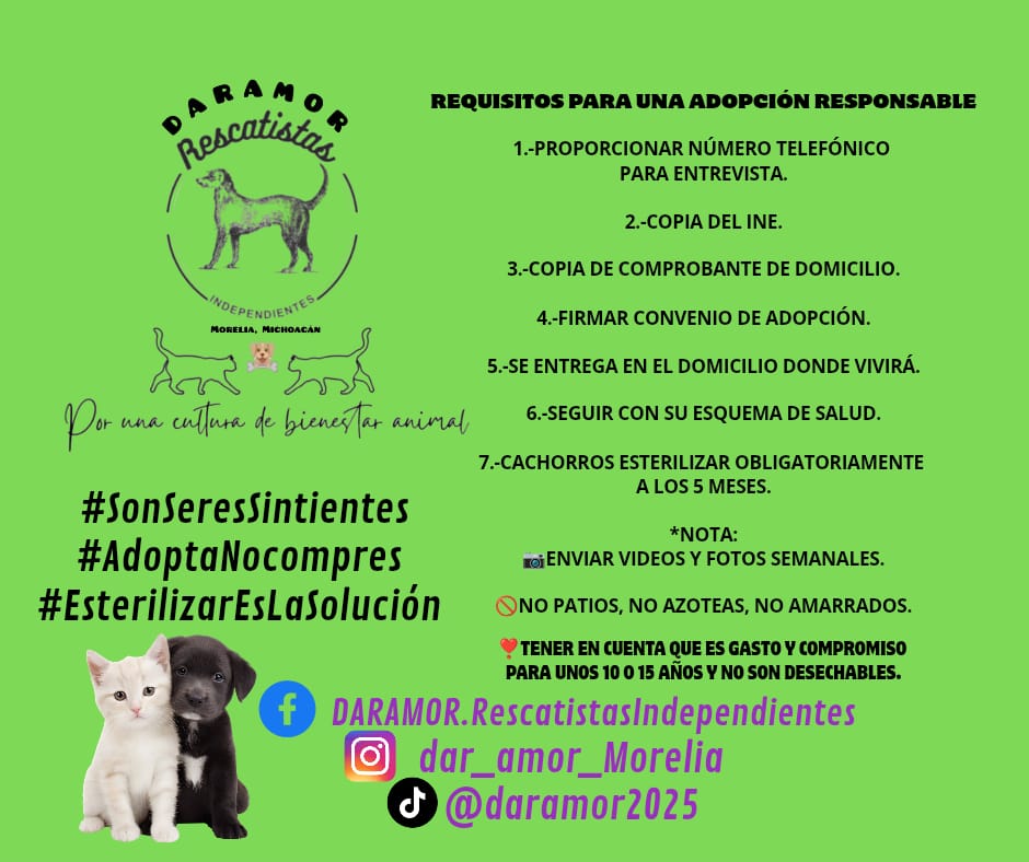 Mascos2Adop26 10
