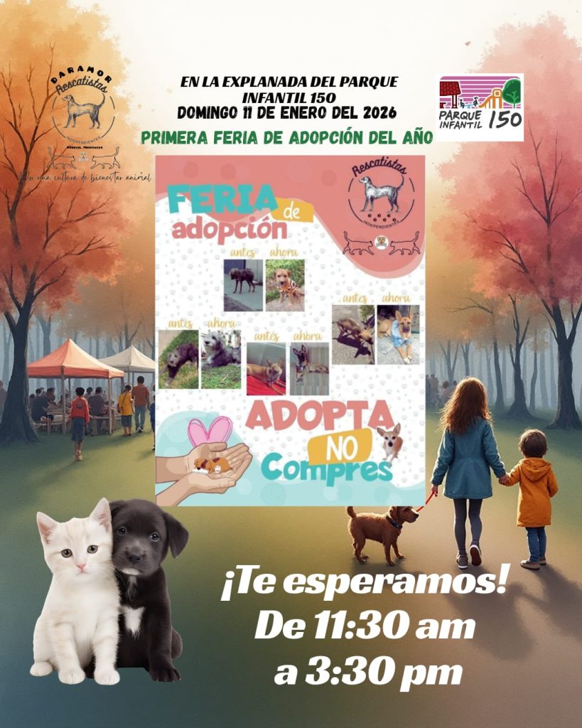 MascosAdopEne12