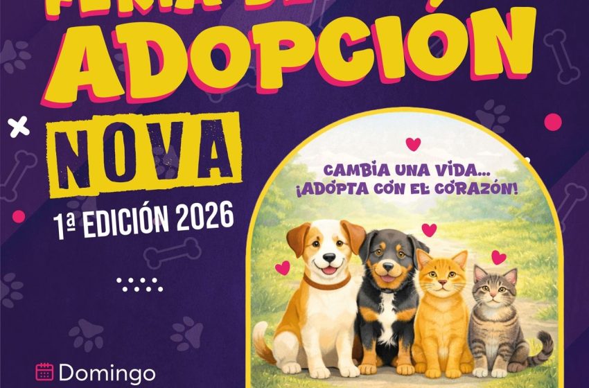  La Casita de Frijol convoca a su primera feria de adopción del 2026 en Morelia