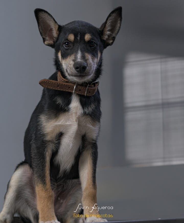 MascosFotogra11