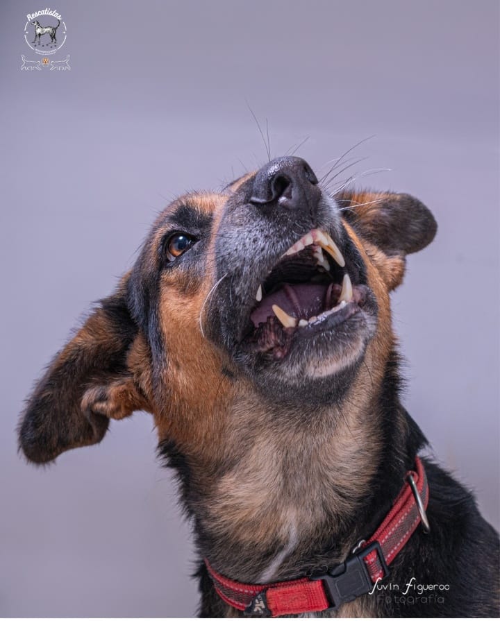 MascosFotogra2
