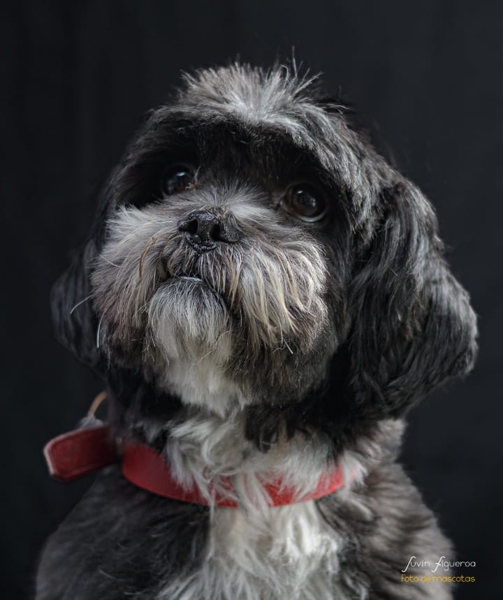 MascosFotogra9