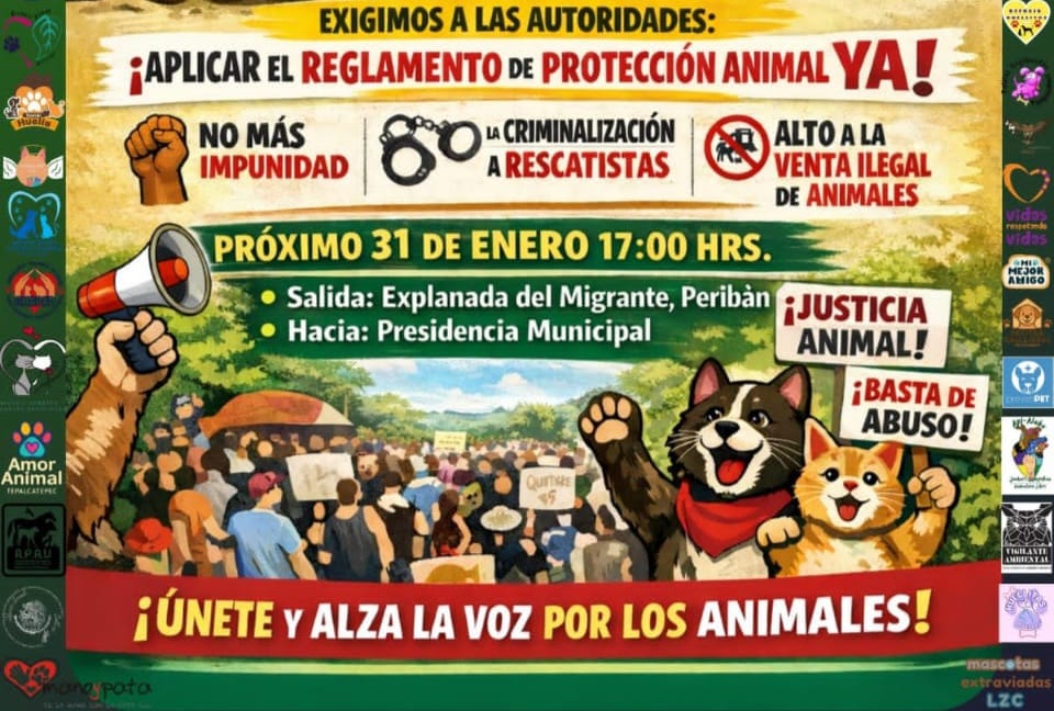 MascosMarchaAnim1