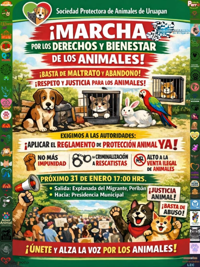 MascosMarchaAnim2