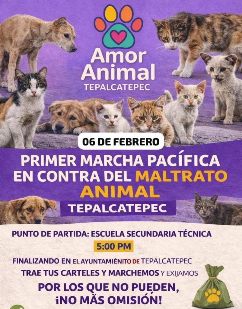 MascosMarchaAnim3
