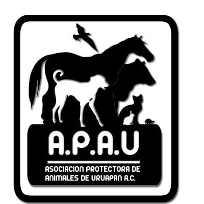 MascosMarchaAnim5