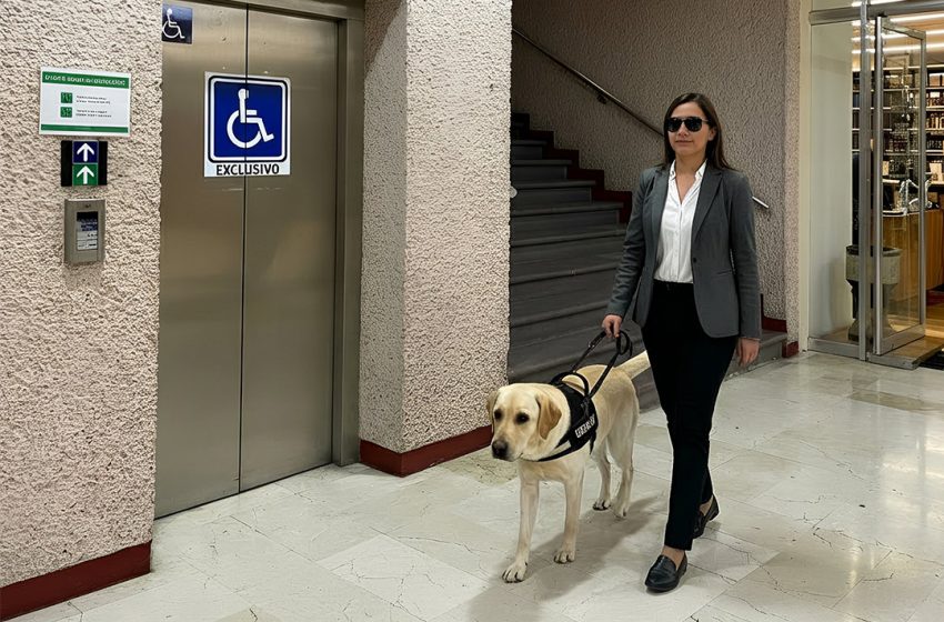  Poder Judicial abre sus puertas a animales de servicio, asistencia y/o terapia que acompañen a personas con discapacidad