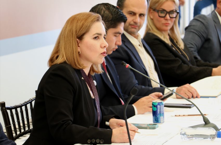Coordinación institucional, clave para consolidar la paz en Michoacán: Magistrada Laura Alanís