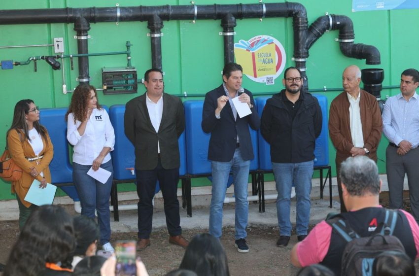AM PotaFEMSA1