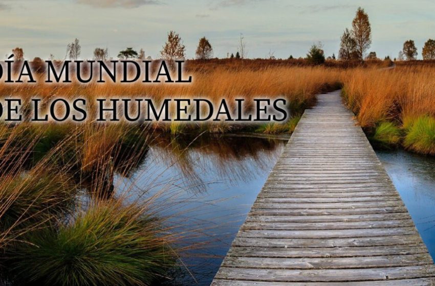 DiaHumedales
