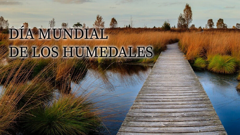 DiaHumedales