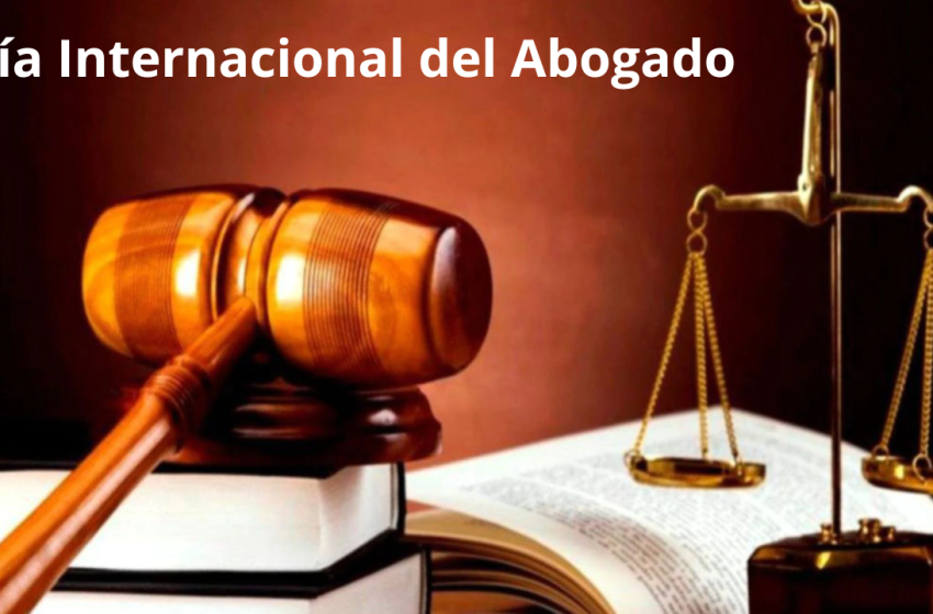 DiaIntAbogado