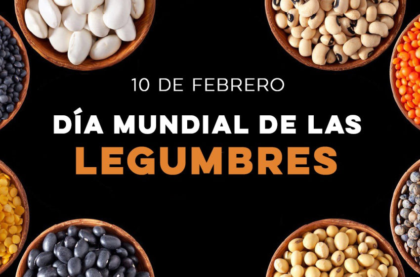  10 de febrero: Día Mundial de las Legumbres