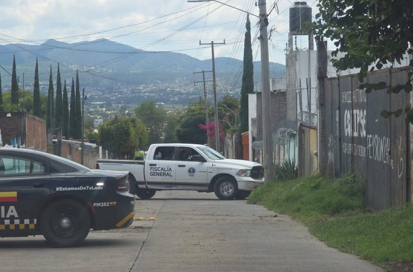  En 8 días de febrero, 11 ejecutados en Zamora, 4 mujeres entre las víctimas