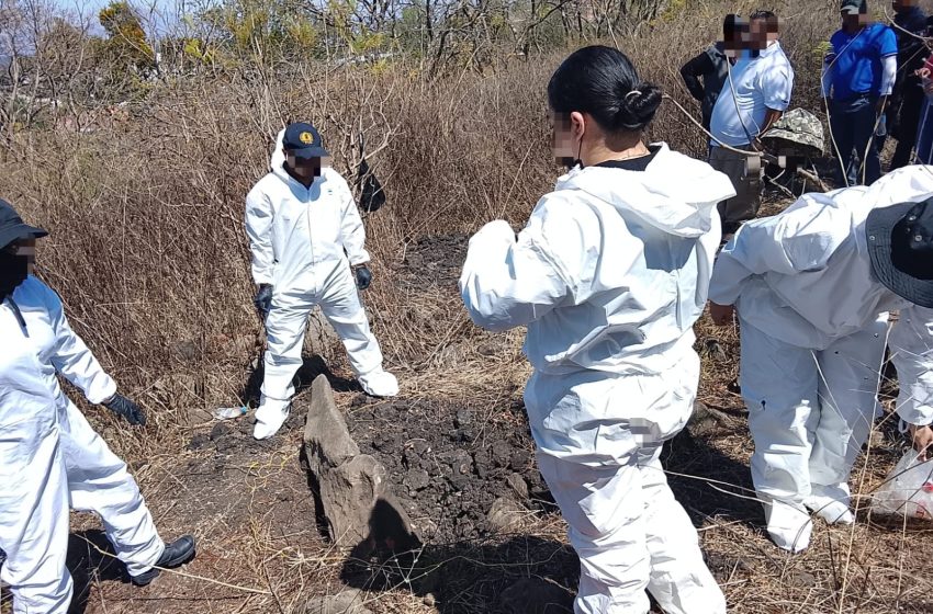  FGE continúa con acciones de búsqueda forense en el Cerro de la Cruz, en Jacona