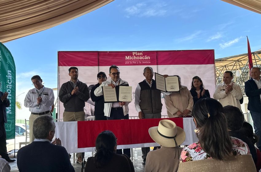  Conforma IMSS Comité Ciudadano en Villamar, Michoacán
