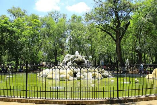  Implementa Ayuntamiento de Morelia acciones de cuidado y protección de fauna en el Bosque Cuauhtémoc