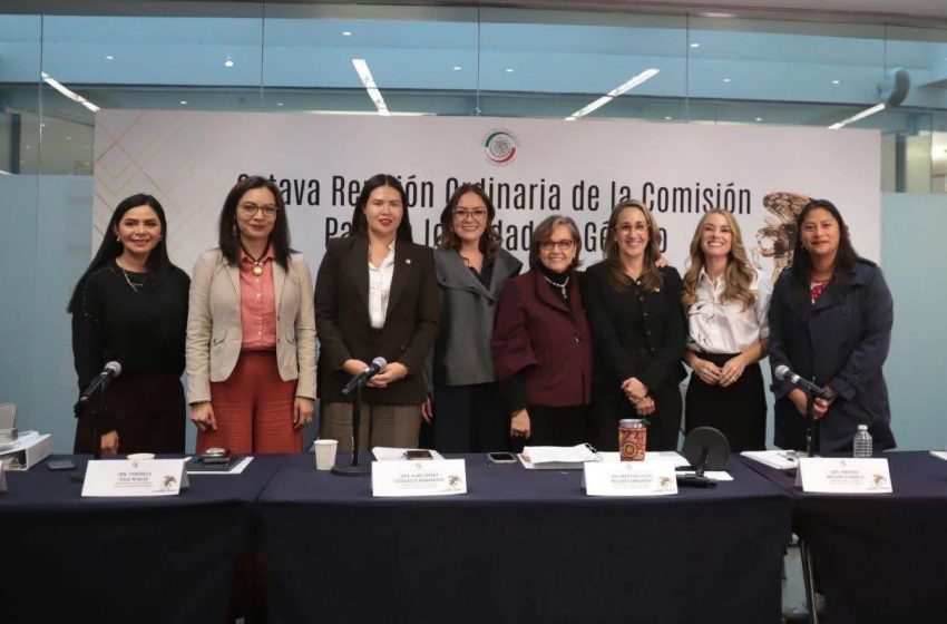  Avanza agenda para erradicar la violencia de género en el Senado: Araceli Saucedo