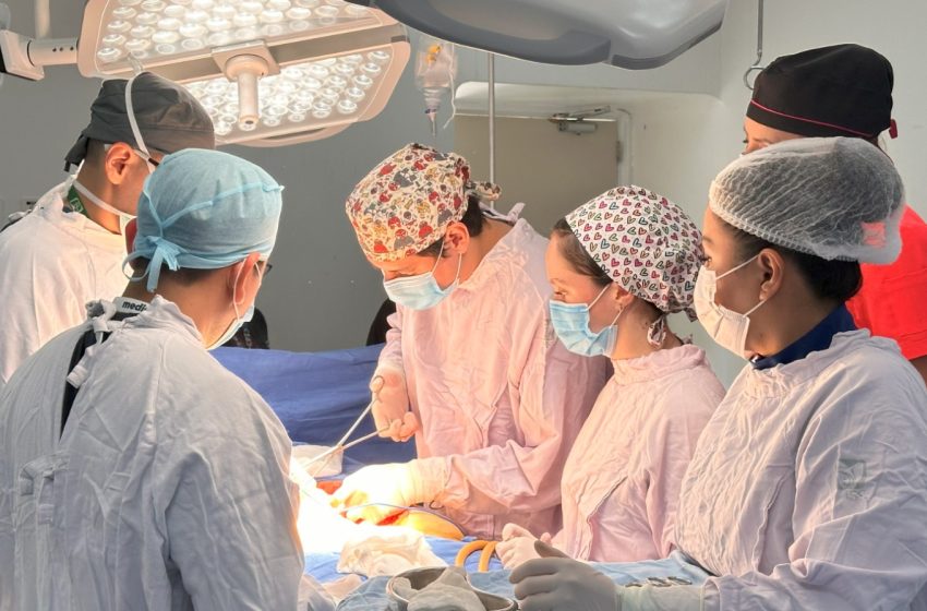IMSS ProcOrgMujPol1