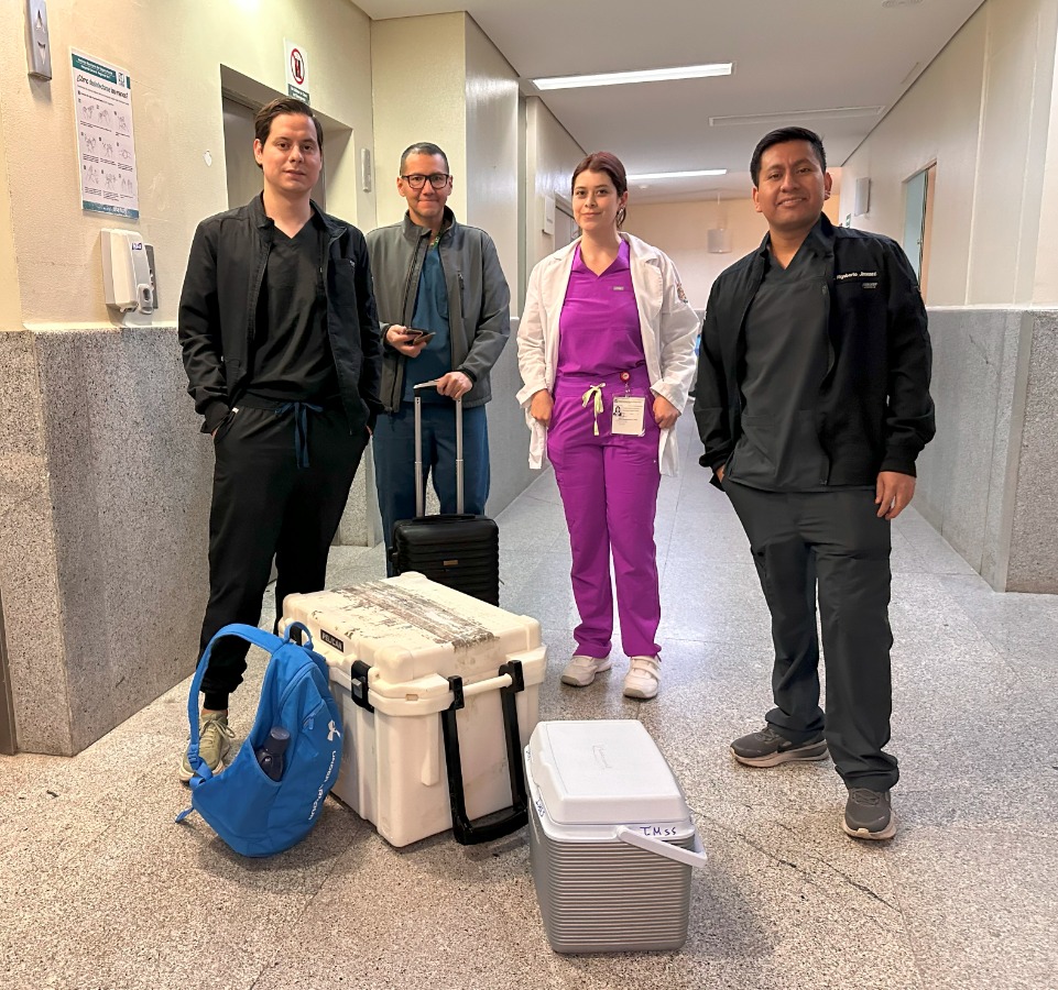 IMSS ProcOrgMujPol2