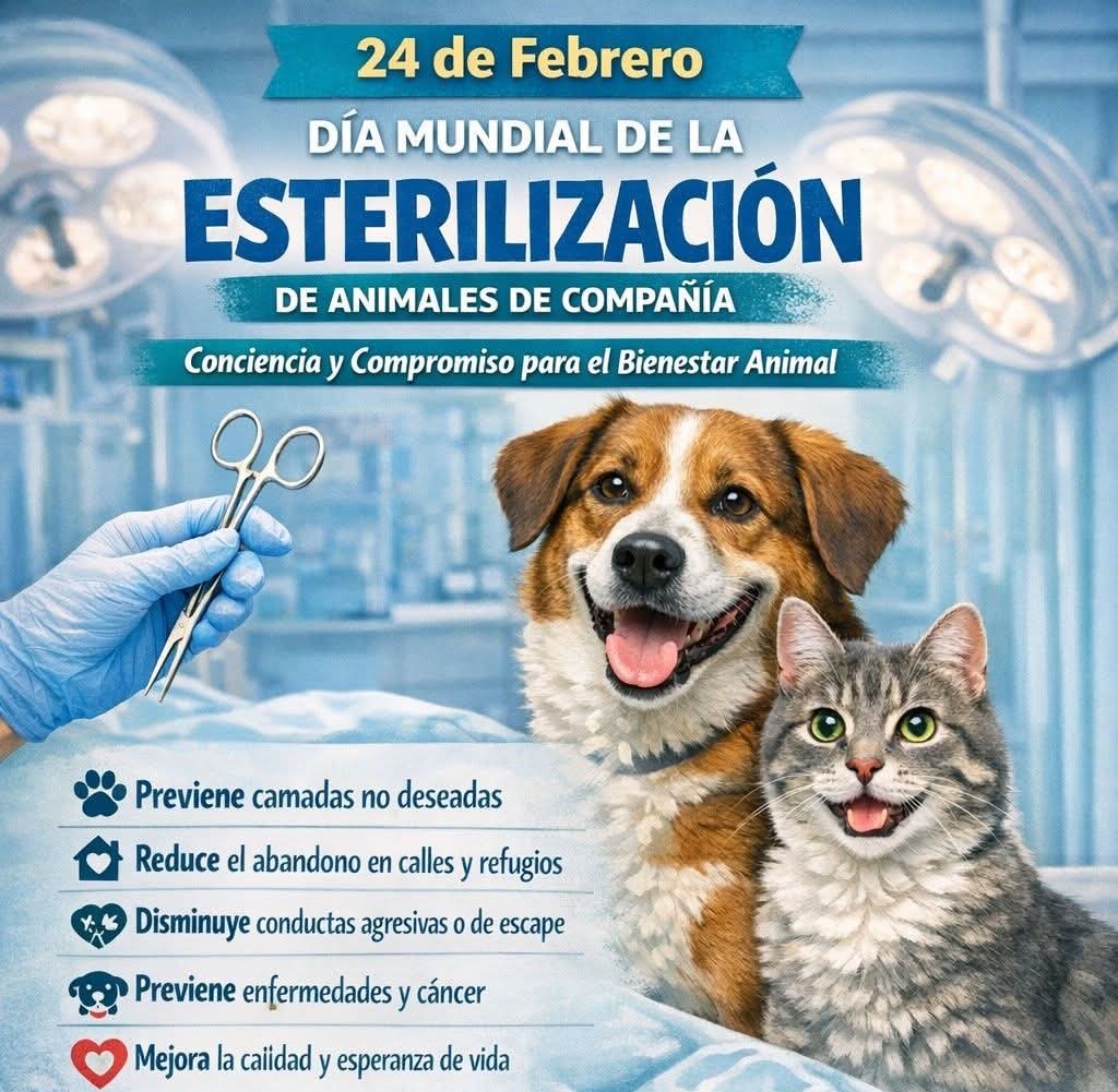 MascosDiaEsteril 1