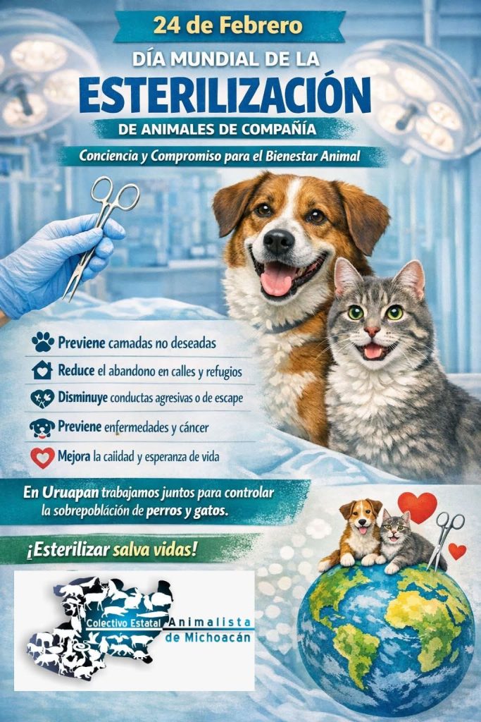 MascosDiaEsteril