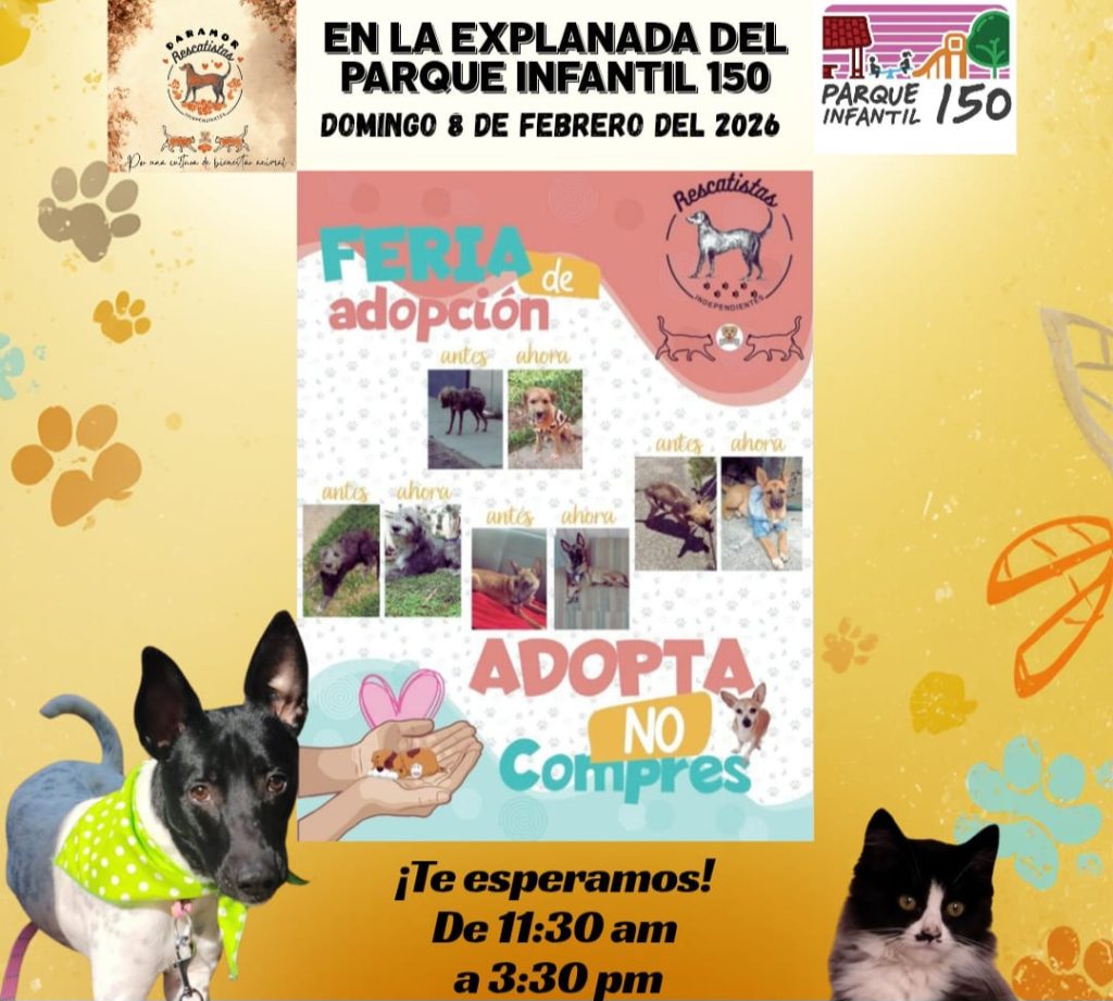 MascosFerFeb1