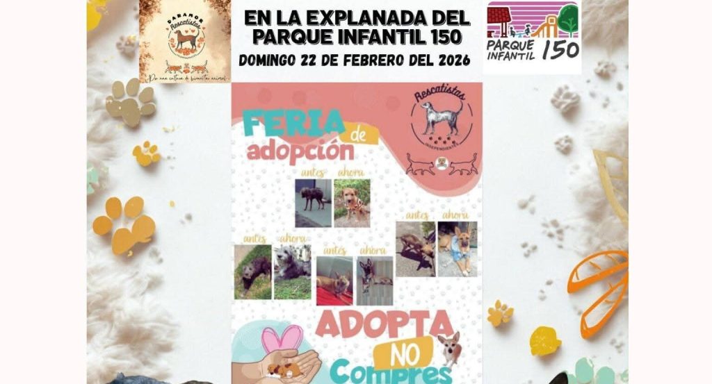 MascosFeriaResFeb1