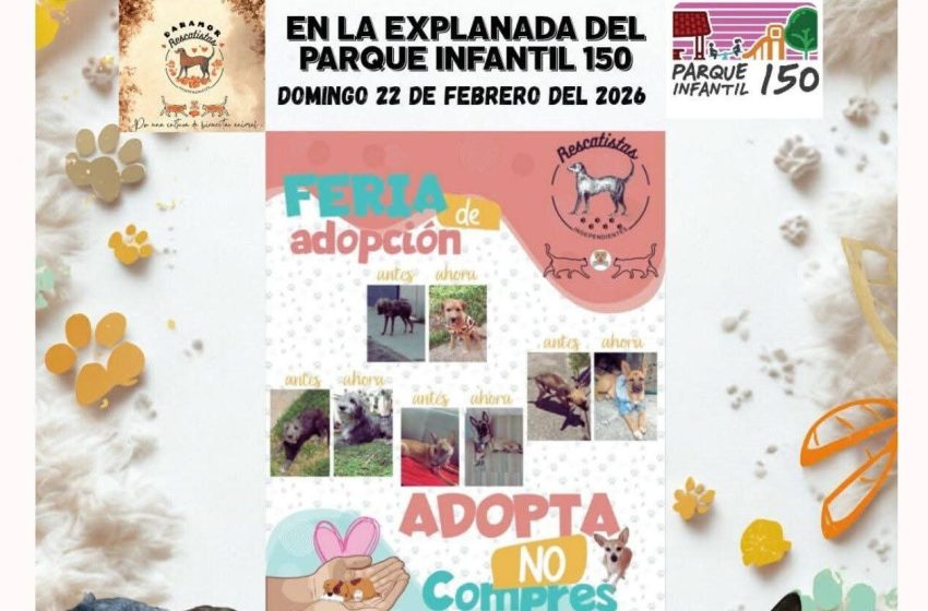  Adopta con Rescatistas Independientes y dale hogar a quien solo pide amor