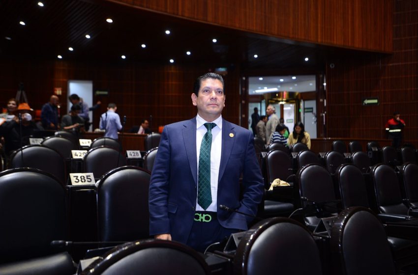 NetoProtecTes